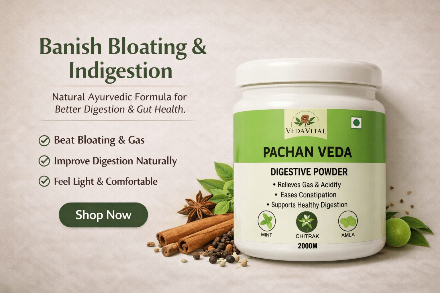 Digestive Care - VEDAVITAL  HERBAL