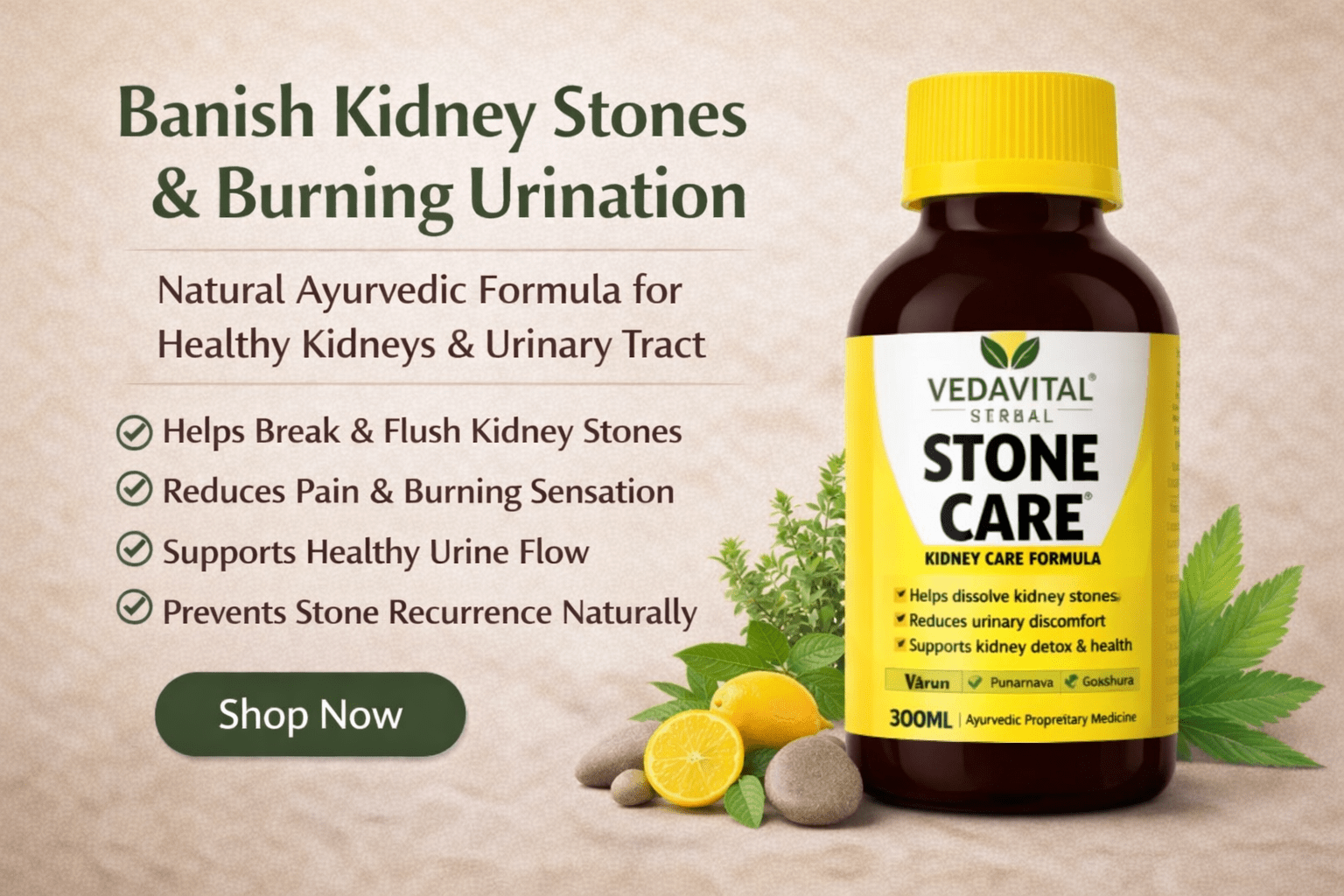 Kidney & Stone Care - VEDAVITAL  HERBAL