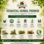 Stone Care – Advanced Ayurvedic Support for Kidney & Urinary Health - VEDAVITAL HERBALStone Care – Advanced Ayurvedic Support for Kidney & Urinary HealthKidney Care SupplementVEDAVITAL HERBALStone Care – Advanced Ayurvedic Support for Kidney & Urinary Health